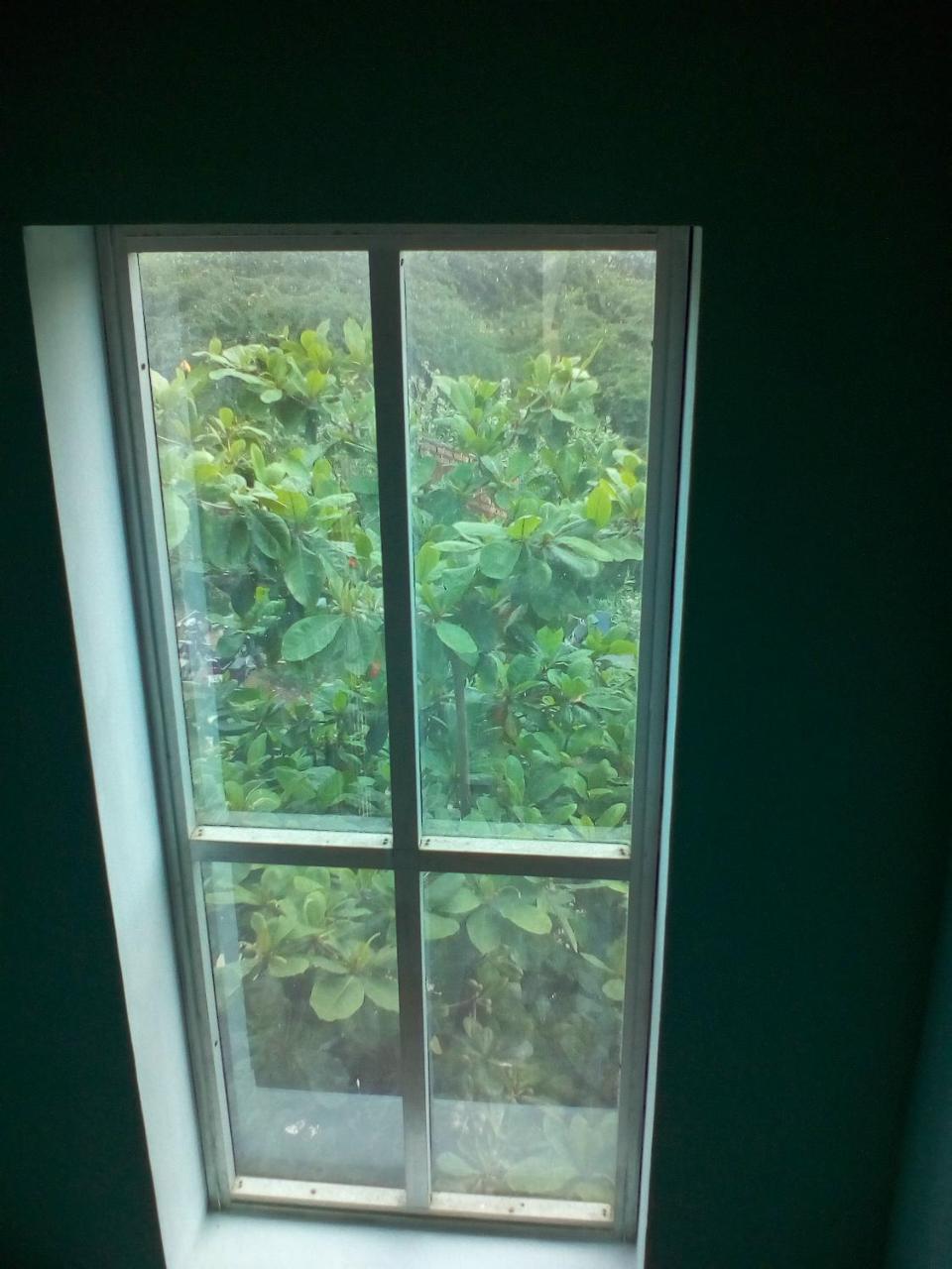Sai Guest House Tiruvannāmalai 外观 照片